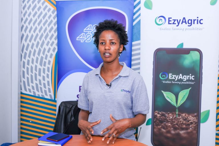 EzyAgric is providing ready market, digital loans and agro-inputs to farmers