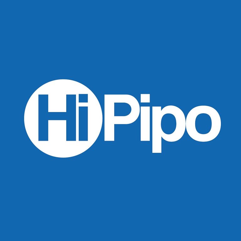 HiPipo: Celebrating a Year of Unprecedented Achievements and Gratitude