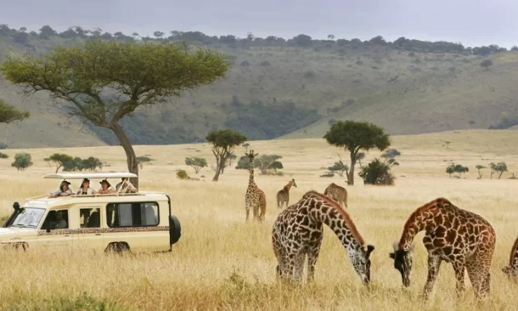Beyond Safaris for An Ecosystem: Turning Uganda’s Tourism Potential into a Youth Jobs Engine.
